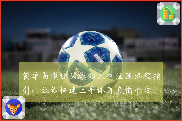 简单易懂的买球站入口注册流程指引，让你快速上手体育直播平台