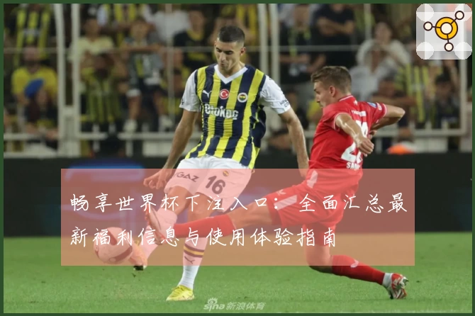 畅享世界杯下注入口：全面汇总最新福利信息与使用体验指南
